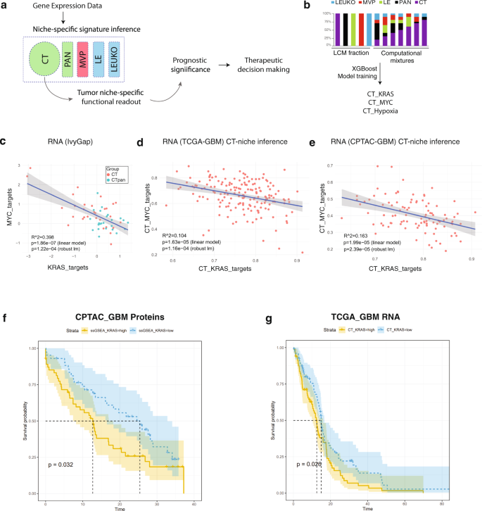 Fig. 5: High levels of the “KRAS targets” signature is associated with clinical aggressiveness in GBM patients.
