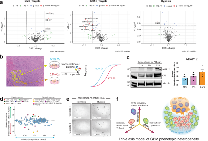 Fig. 6: Pharmacological profiling reveal axis-specific drug vulnerabilities and resistance.