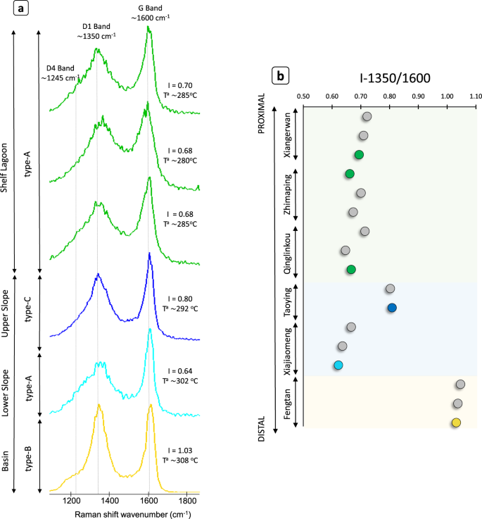 Fig. 3: Raman spectra of organic matter in Doushantuo Member IV.
