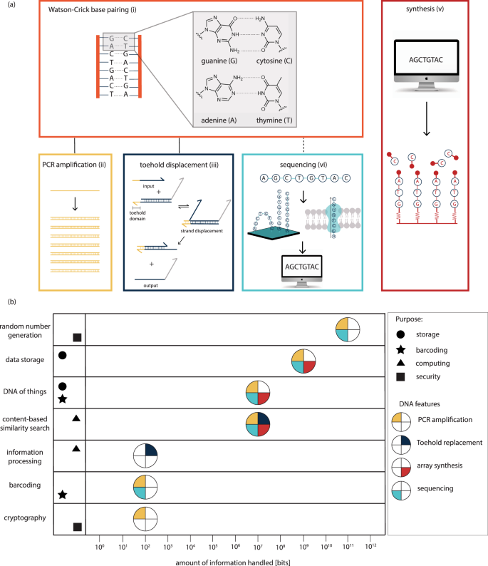 Synthetic DNA applications in information technology | Nature Communications