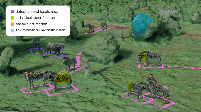 Perspectives in machine learning for wildlife conservation | Nature Communications