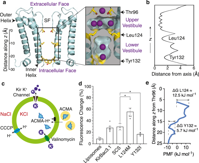 Fig. 1: Branched aliphatic side chains form a barrier to ions within the conduction pathway.