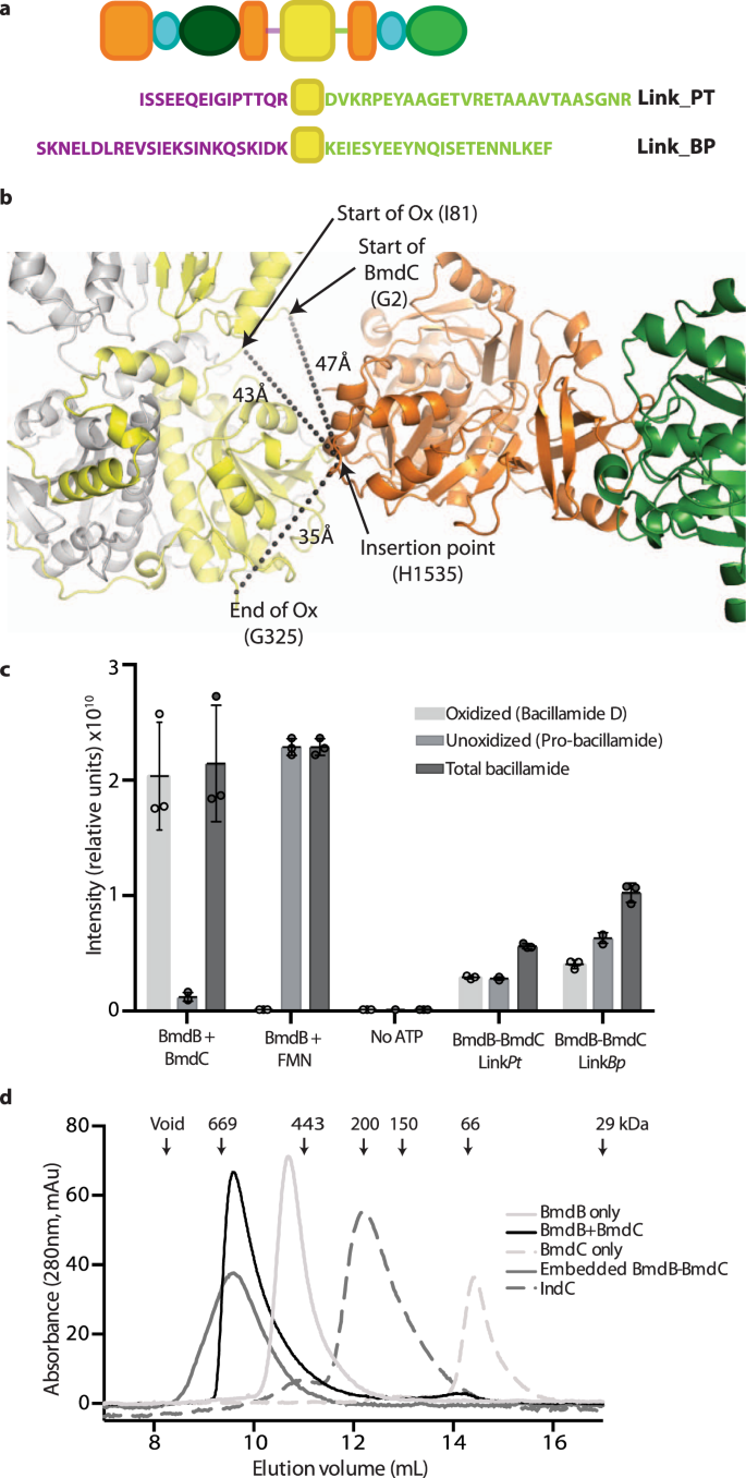 Fig. 5: Embedded Ox domains.