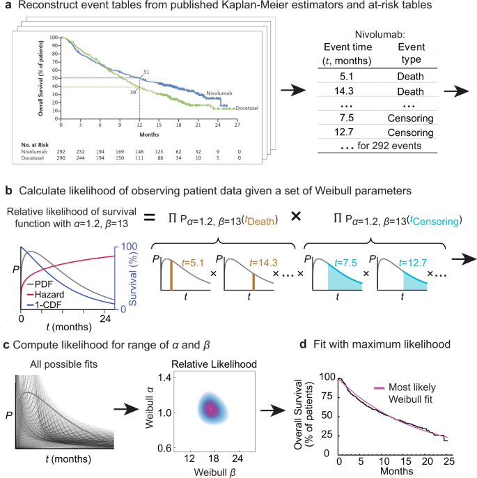 Cancer patient survival can be parametrized to improve trial precision and  reveal time-dependent therapeutic effects | Nature Communications