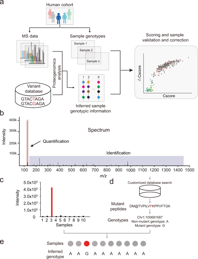 Fig. 1: Architecture of SMAP.