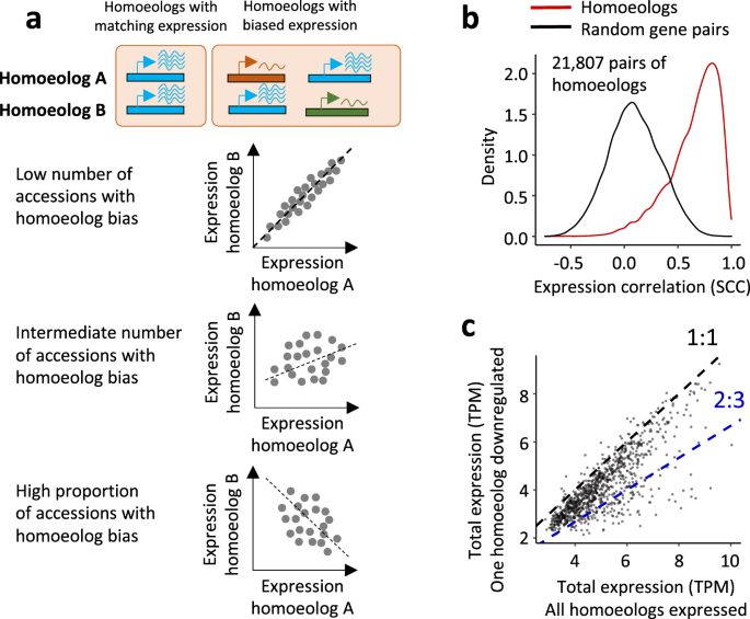 Fig. 1: Relative expression of homoeologous genes in the diverse panel of wheat lines.