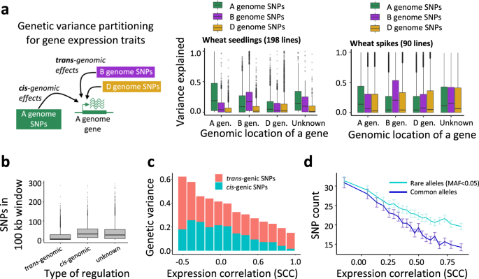 Fig. 2: Partitioning variance in homoeolog expression using SNPs from different parts of the wheat genomes.