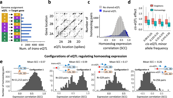Fig. 4: Effects of cis- and trans-eQTL identified in wheat seedlings and spikes on homoeologous gene expression.