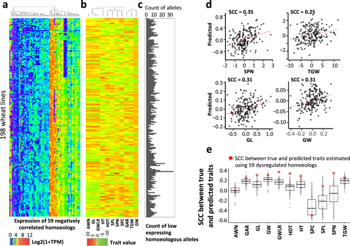 Fig. 6: Biased expression of homoeologous genes is linked with variation in productivity traits.