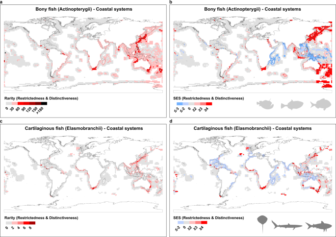 Fig. 1: Global biogeography of rarity for bony fishes (a–Actinopterygii) and cartilaginous fishes (c–Elasmobranchii) across Coastal Systems.