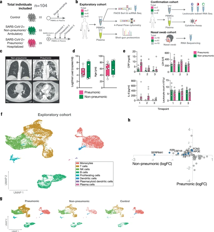 Protective immune trajectories in early viral containment of non-pneumonic SARS-CoV-2 infection