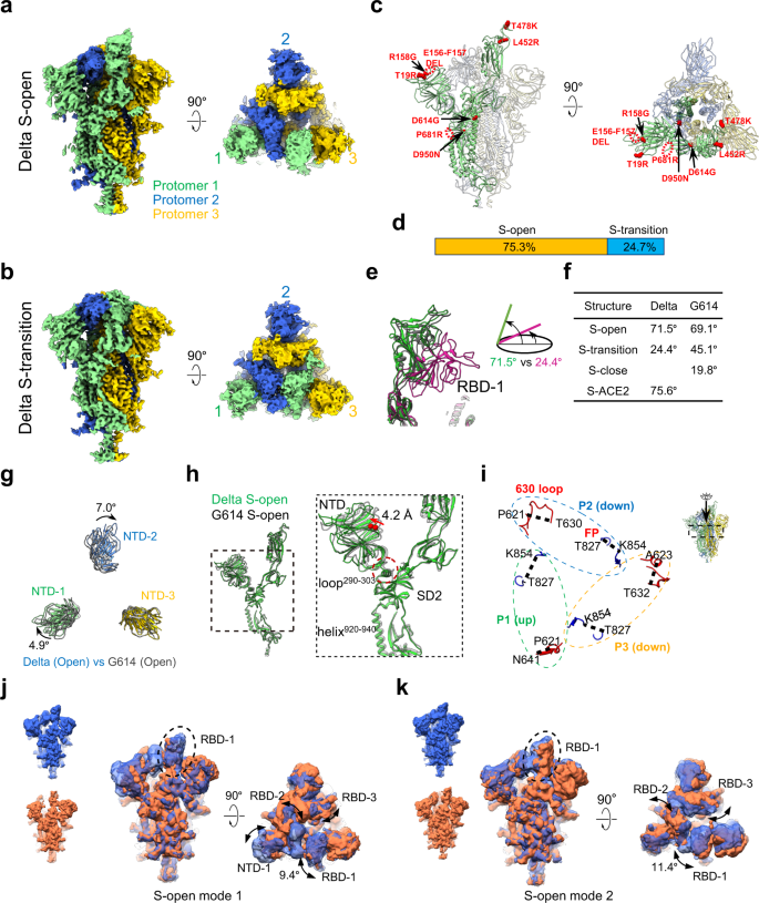 Fig. 1: Cryo-EM structures of the SARS-CoV-2 Delta variant S trimer.