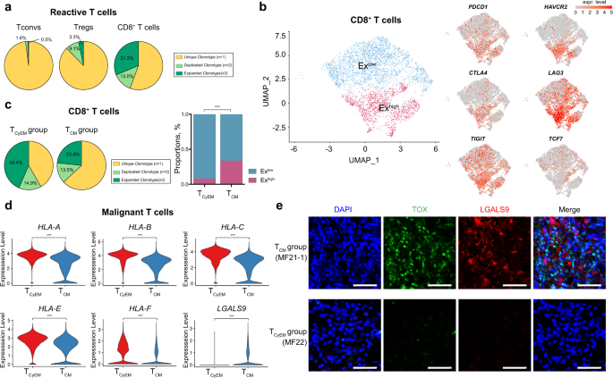 Fig. 5: CD8+ TILs are major antitumor effector cells in CTCL.