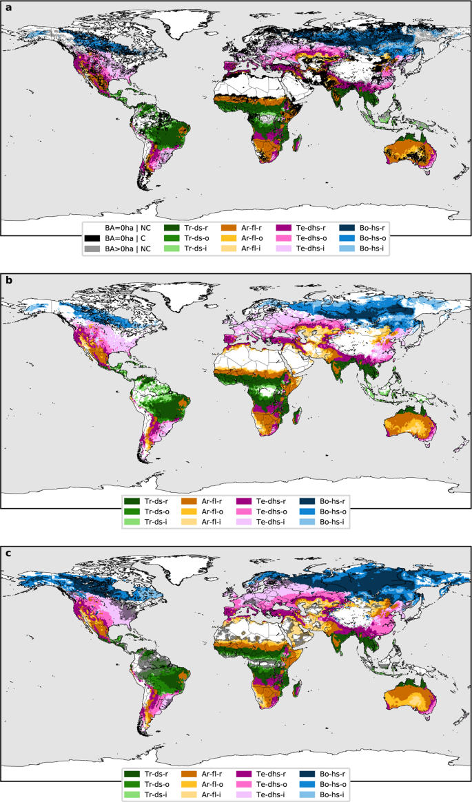 Spatial and temporal expansion of global wildland fire activity in response  to climate change