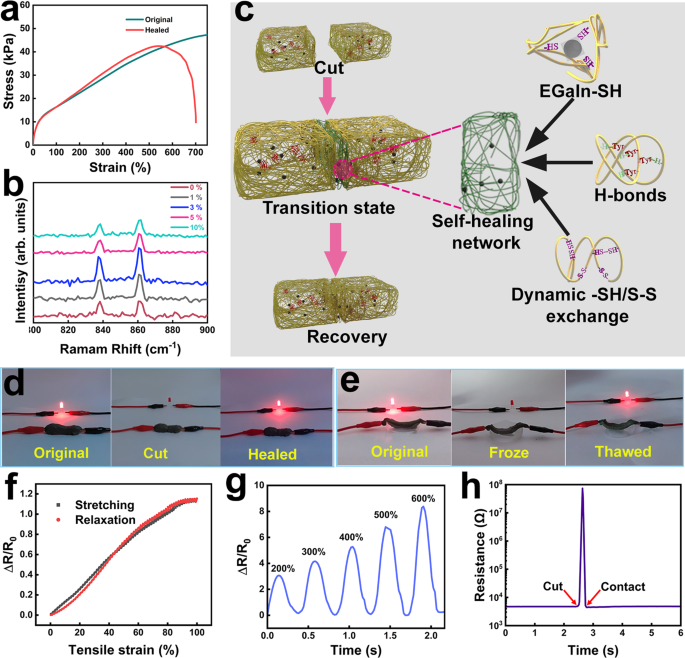 Fig. 3: Characterization of the self-healing ability and strain sensitivity of E-GES.