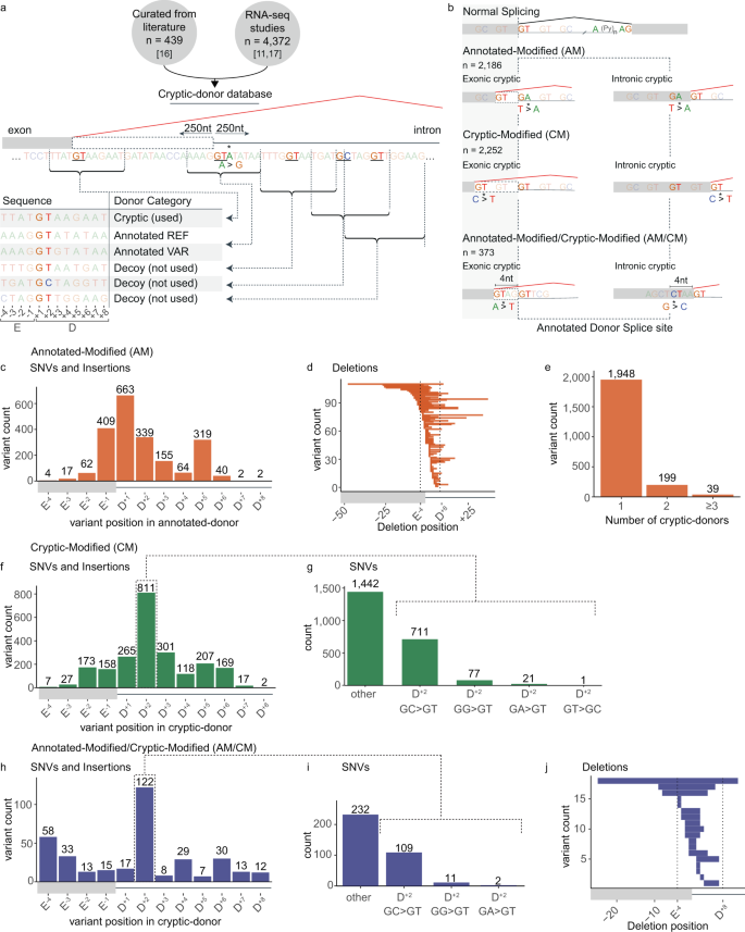 Analysis of mutations within the intron20 splice donor site of CREBBP in  patients with and without classical RSTS