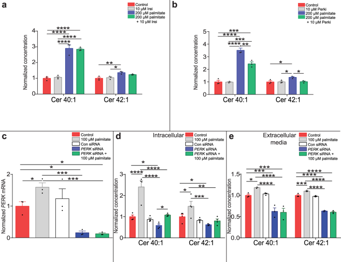 Long-chain ceramides are cell non-autonomous signals linking lipotoxicity  to endoplasmic reticulum stress in skeletal muscle | Nature Communications