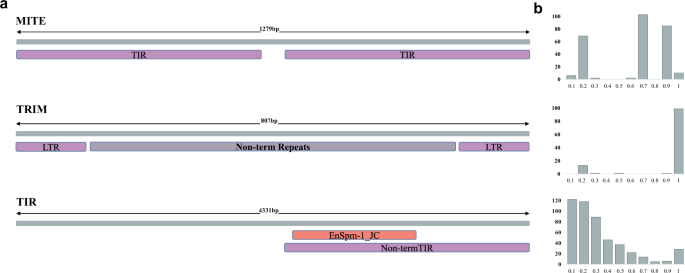 Fig. 3: Three new TE families in D. melanogaster.