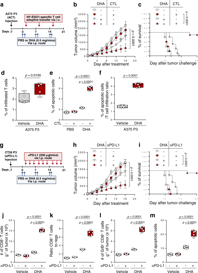 Fig. 7: TCTP inhibition by DHA renders the tumor susceptible to T cell-mediated therapy.