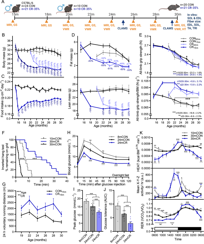 Distinct and additive effects of calorie restriction and rapamycin in aging skeletal muscle Nature Communications