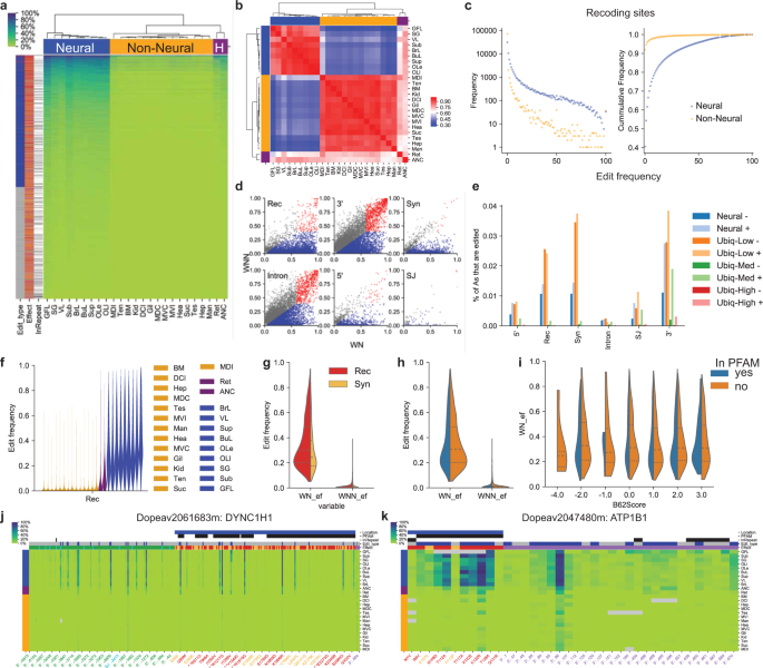Fig. 6: RNA editing profiles in D. pealeii.