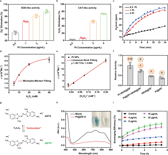 Fig. 3: In vitro catalytic performance.