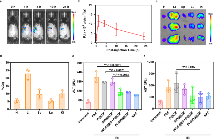 Fig. 5: In vivo performance.