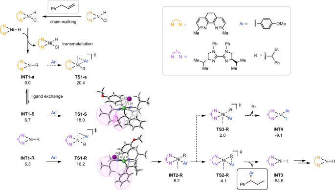 Fig. 7: Computational study of the asymmetric arylation.
