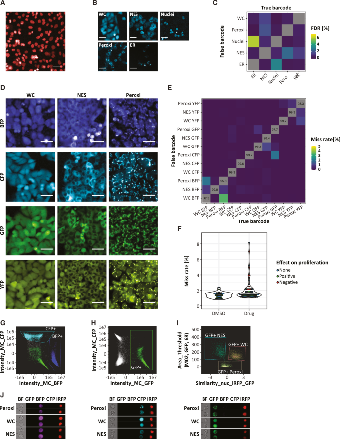 Fig. 1: Developing visual barcodes for multiplexing live imaging applications.