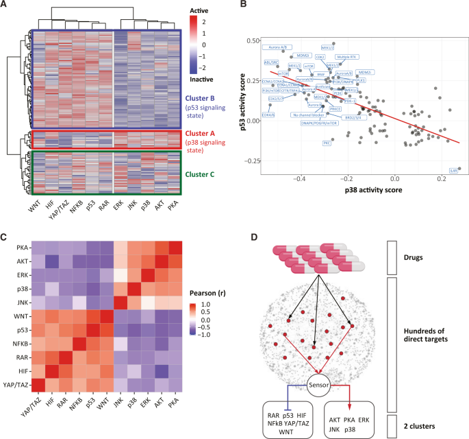 Fig. 3: Large-scale correlations in signaling suggest a generalized response that is compound independent.