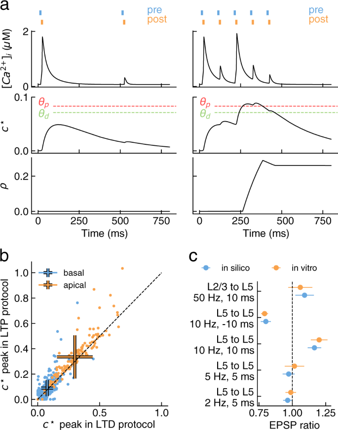 Fig. 2: Plasticity model components and parameter optimization.