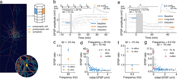 Fig. 4: Testing plasticity model generalization on the L2/3-PC to L2/3-PC connection type.