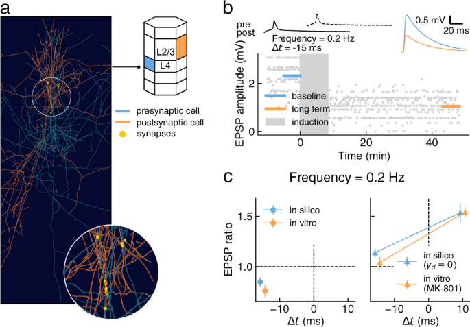 Fig. 5: Testing plasticity model generalization on the L4-PC to L2/3-PC connection type.