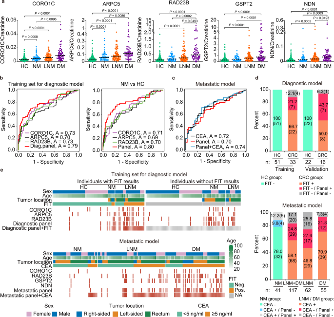 Fig. 4: Independent urine verification of the urinary protein signature using dot blot analysis.