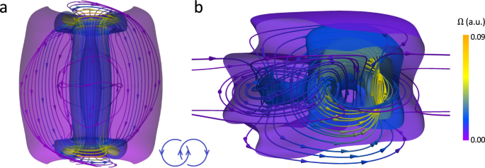 Fig. 3: Interlinked streamlines of skyrmion number density in magnetic Hopf solitons.