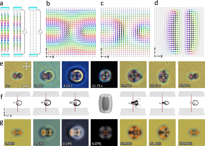 Fig. 4: Geometric transformation of Hopf solitons driven by electric field.