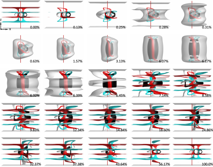 Fig. 5: Preimage visualization of the simulated geometric transformation of a Hopf soliton.