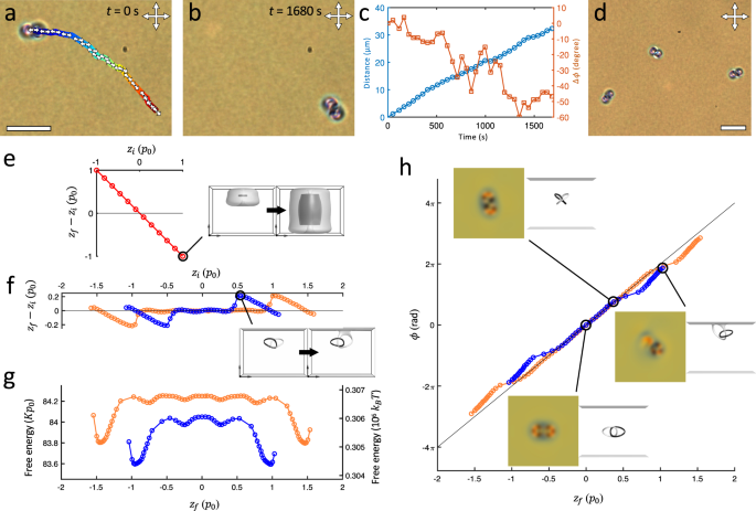 Fig. 6: 3D Hopping of Hopf solitons.