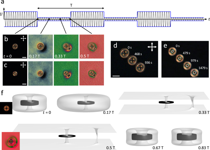 Fig. 7: Squirming of Hopf solitons.