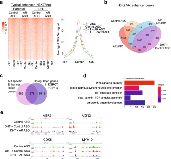 Fig. 8: Enhancer reprogramming by AR in JN-DSRCT cells.