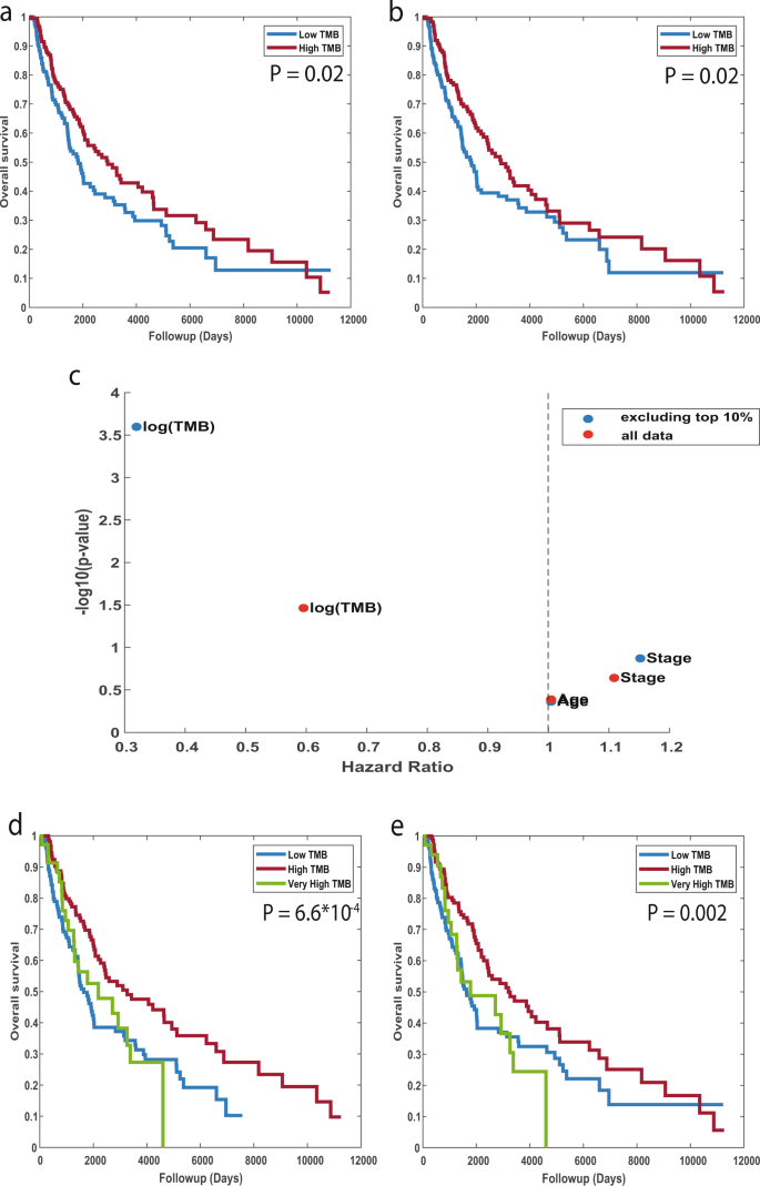 Fig. 3: Association between Tumor Mutational Burden (TMB) and patient survival.
