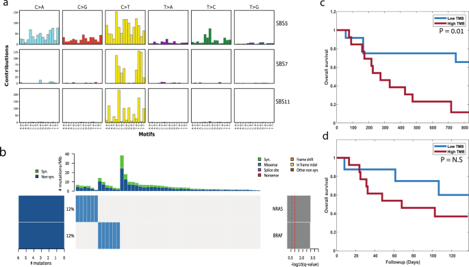 Fig. 4: Pipeline application to an independent dataset.