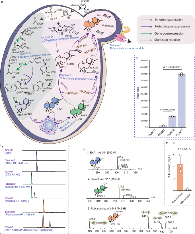 De Novo Biosynthesis Of Rubusoside And Rebaudiosides In Engineered Yeasts Nature Communications