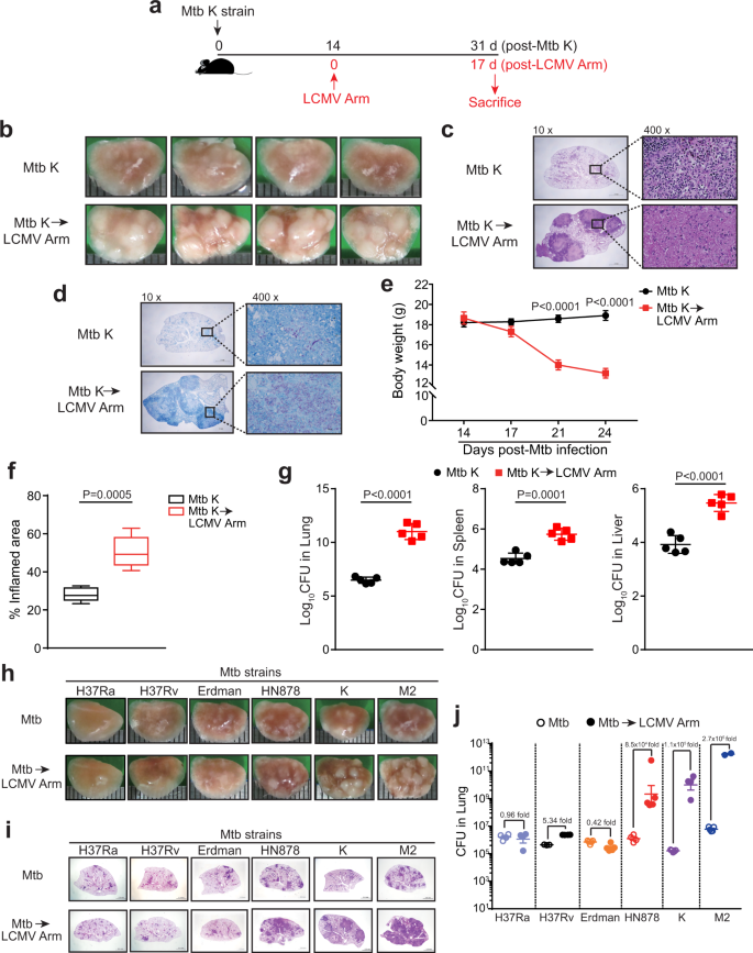 Immunization of Mice with a Live Transconjugant Shigella Hybrid Strain  Induced Th1 and Th17 Cell‐Mediated Immune Responses and Confirmed Passive  Protection Against Heterologous Shigellae - Nag - 2016 - Scandinavian  Journal of