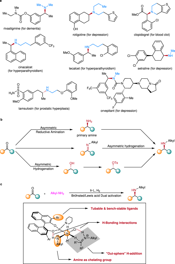 Fig. 1: Relevance of chiral N-alkyl amines and efficient enantioselective synthetic strategies.