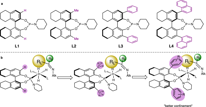 Fig. 2: Structural tuning of the phosphoramidite ligands.