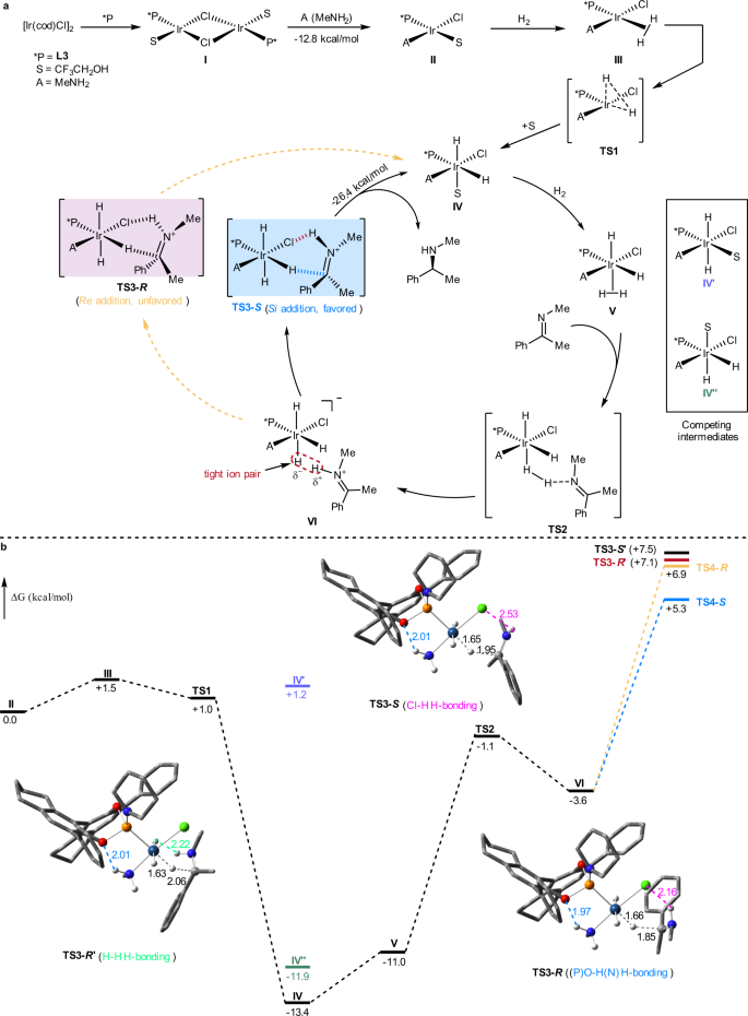 Fig. 5: Proposed reaction pathways and energy profiles.