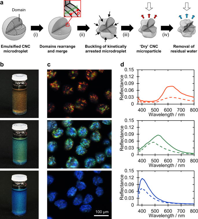 Cellulose photonic pigments | Nature Communications