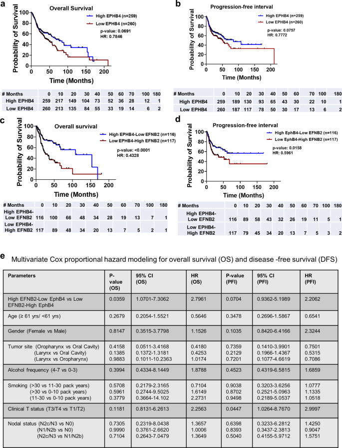 Fig. 9: High EPHB4-low EFNB2 correlates with better overall and disease-free survival in HNSCC patients.