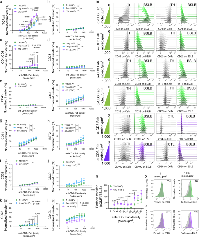 Fig. 2: The synaptic transfer of vesicular effectors relates to the functional properties of different T-cell subsets.